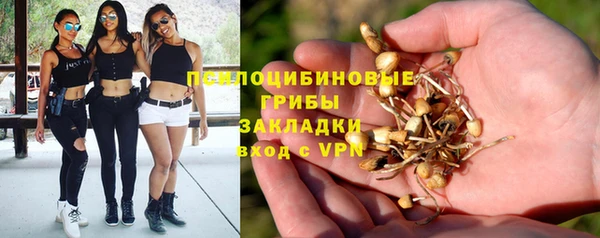 spice Балахна