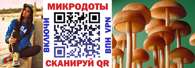 Псилоцибиновые грибы прущие грибы  Купить  Строитель 